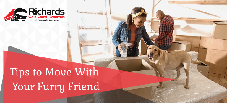 Tips to Move With Your Furry Friend