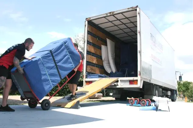Removalists Image